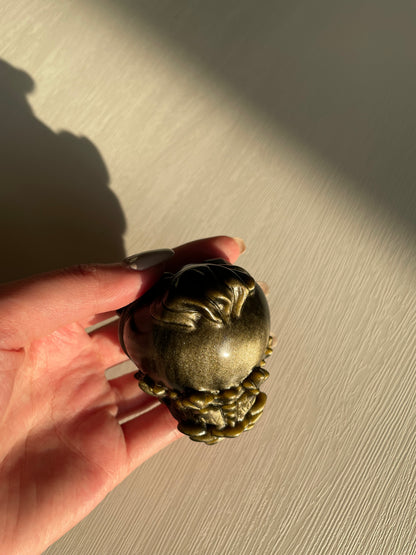 [金曜石龍龜] 沉穩帶金沙的暗黑法師 (光背)