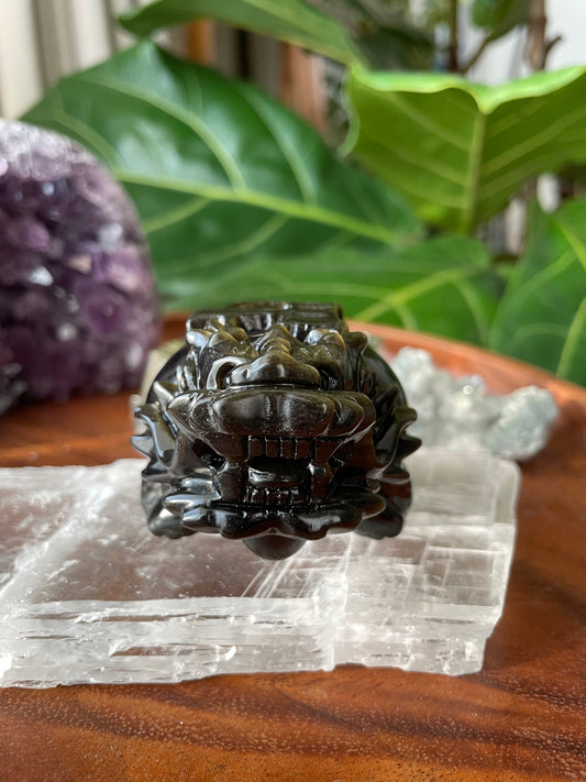 [龍年限定：金曜石龍龜] 沉穩帶金沙的暗黑法師 發